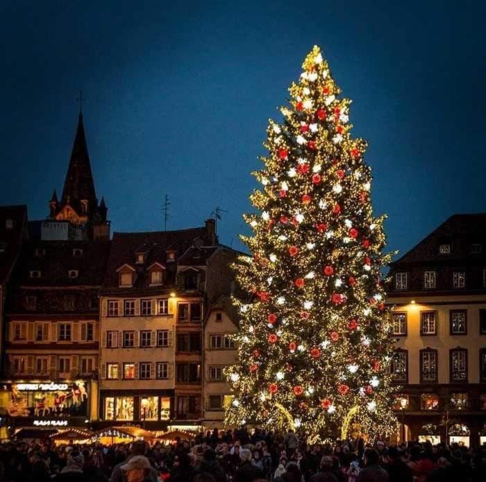 Gites Spa Strasbourg - Villa Ours - Spa Prive, Sauna, Borne D'Arcade, Babyfoot Ittenheim Eksteriør billede
